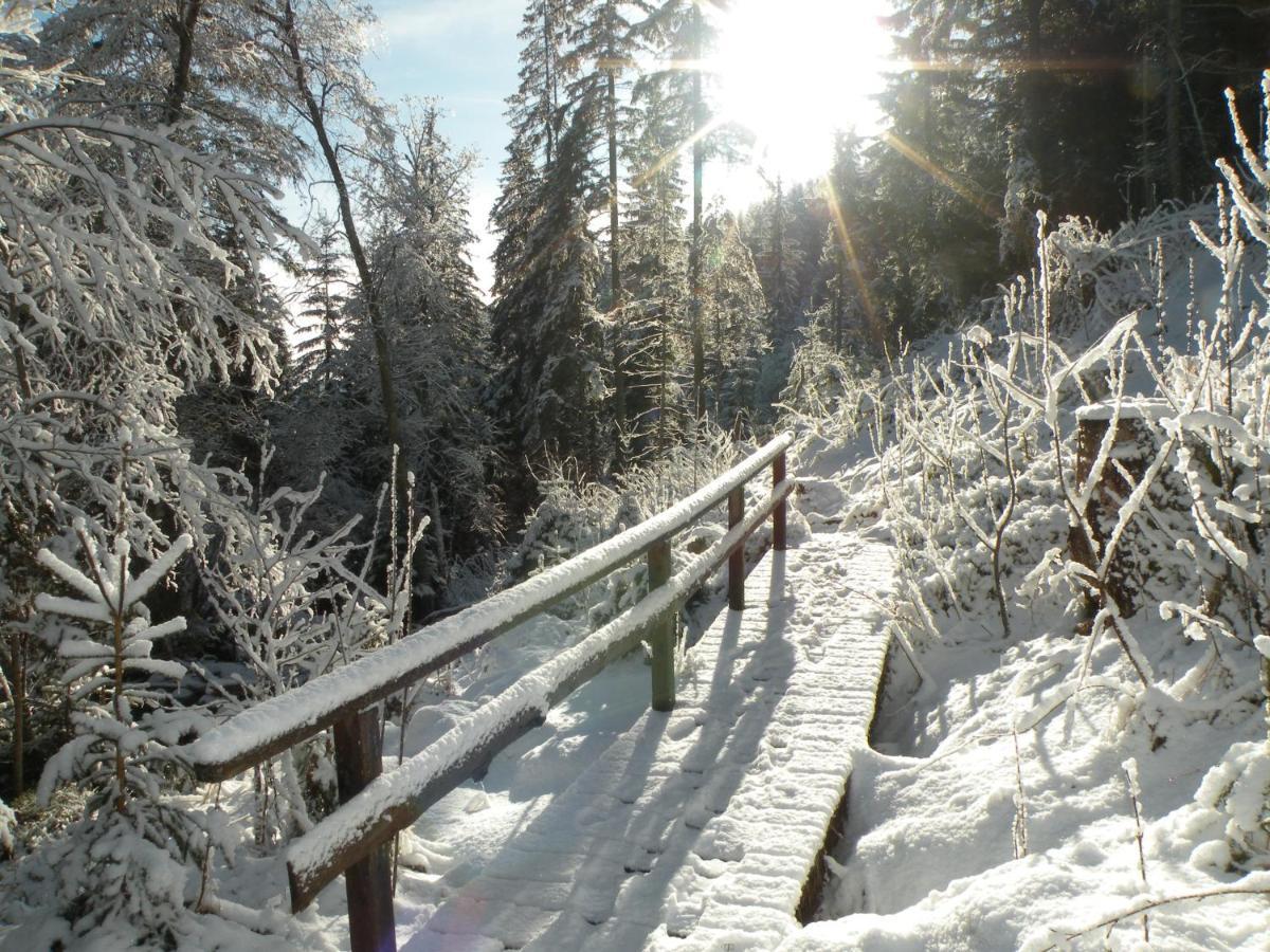 Urlaub Im Zirbenland Villa Obdach Dış mekan fotoğraf