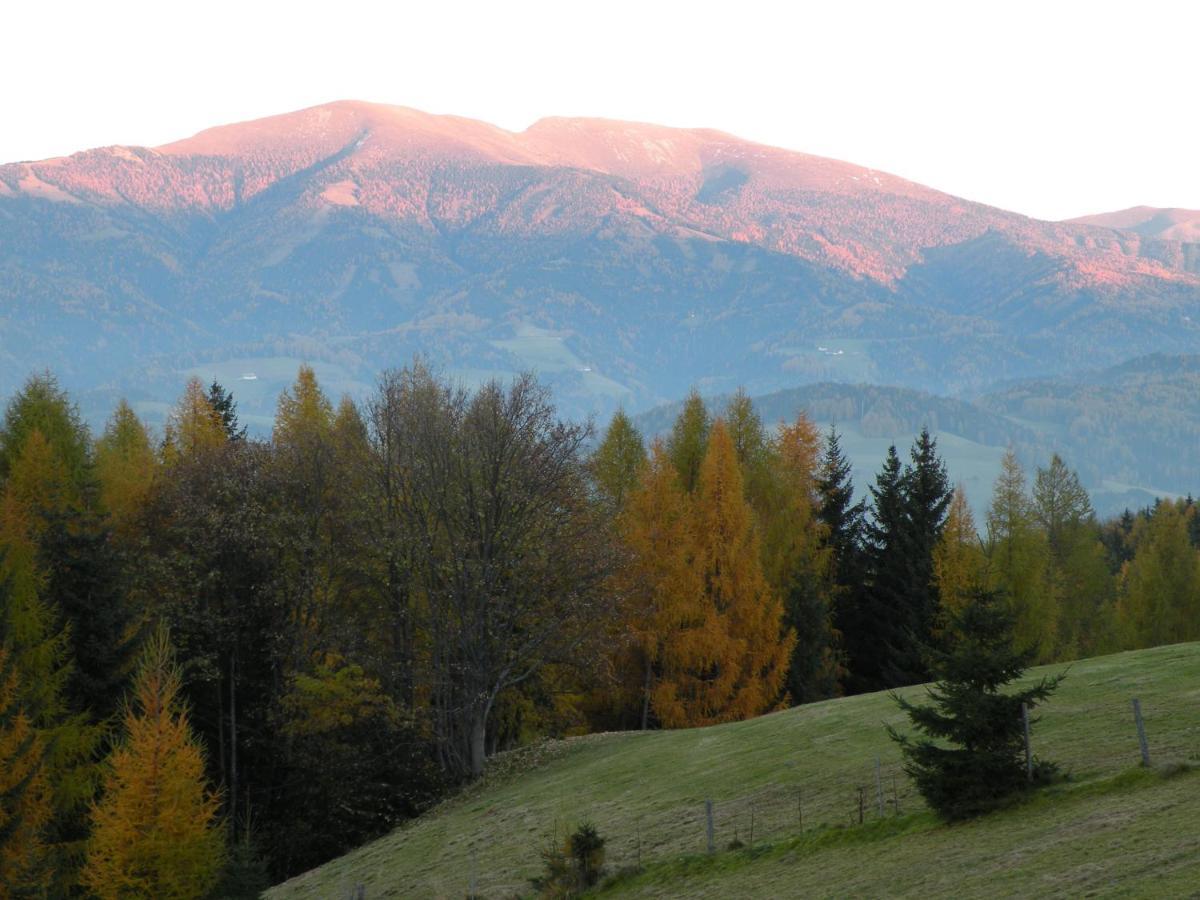 Urlaub Im Zirbenland Villa Obdach Dış mekan fotoğraf