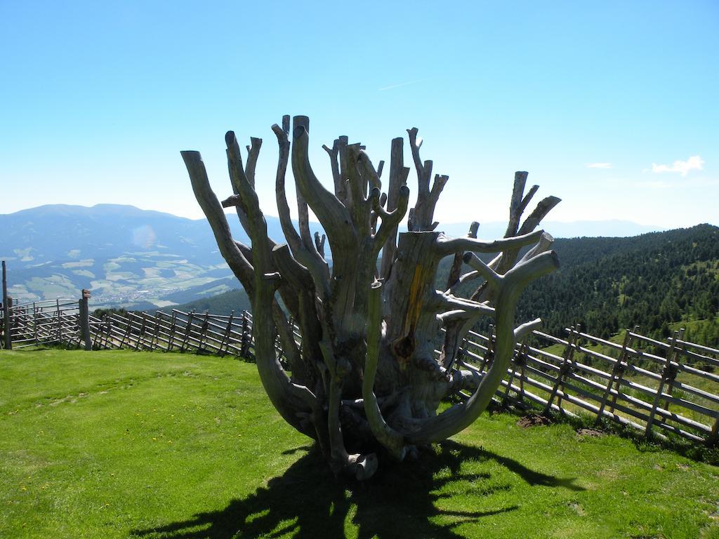 Urlaub Im Zirbenland Villa Obdach Dış mekan fotoğraf